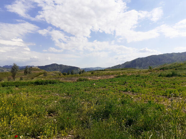 طبیعت بسیار خاص منطقه زیودار شهرستان معمولان