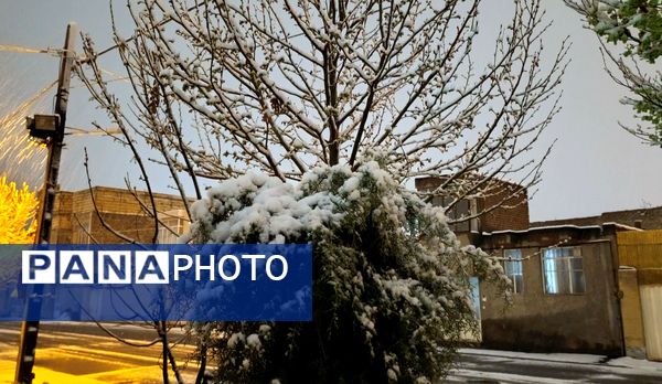 رحمت الهی برف بهاری بر دیار سلسله الذهب