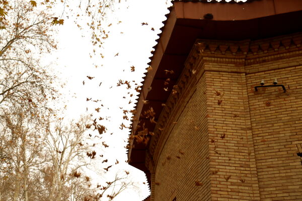 خلوت سرای پاییزی سعدآباد