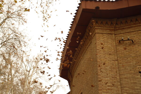 خلوت سرای پاییزی سعدآباد