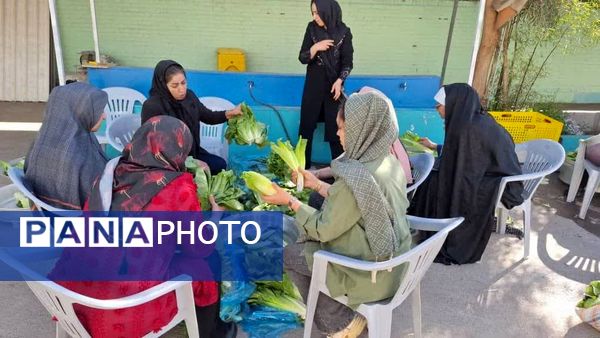 برگزاری جشنوارهٔ کاهو و سکنجبین در دبستان پسرانهٔ پاسداران یزد