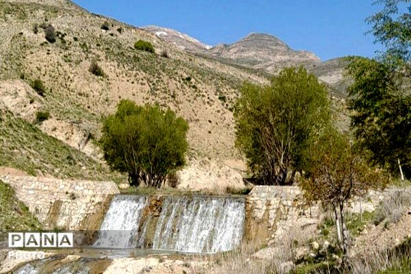 کوه های شهر بار ذخیره‌گاه گیاهان ارزشمند و کم نظیر دارویی 