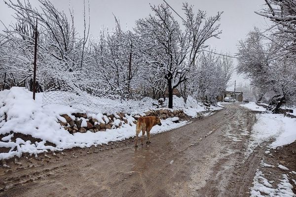 آسمان سخاوتمندانه نعمتش را در ماه شعبان به زمین شهر بار هدیه کرد