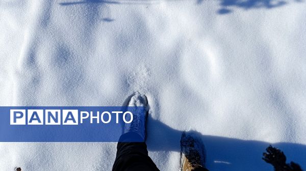 منظره زیبای برف پاییزی در باغات شهرستان نیشابور 