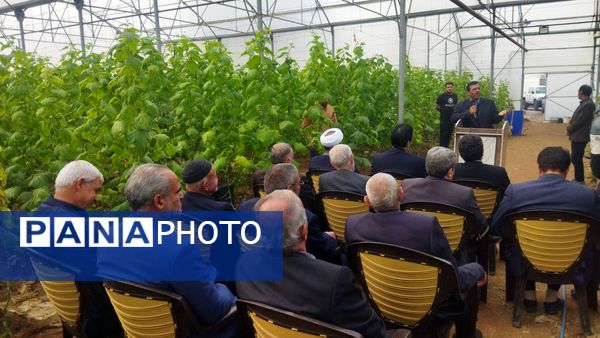 بازدید از گلخانه نمونه خسروشاه در هفته بسیج