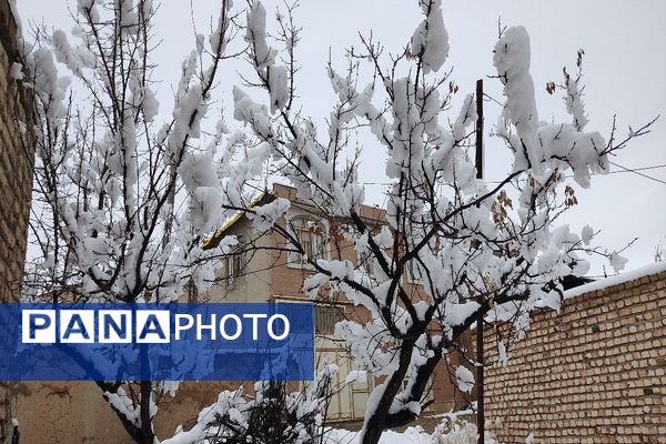 آلبوم تصویری از برف در طبیعت شهر بار 