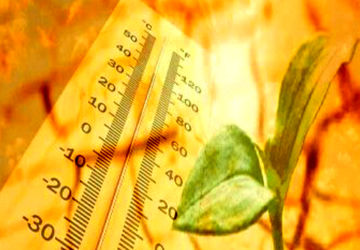 جادوگری که دما را کاهش میدهد!