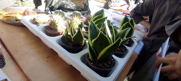 برپایی بازارچه دانش آموزی در دبیرستان نمونه اندیشه شهرستان کاشمر