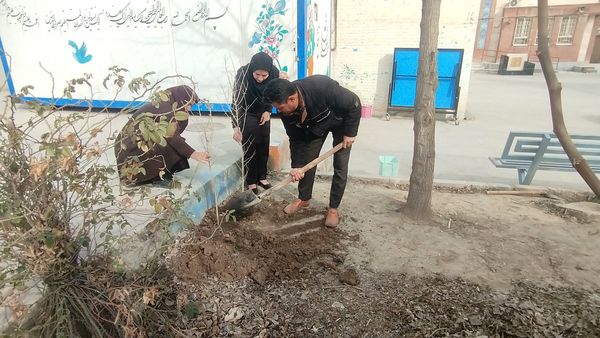 کاشت درخت در هنرستان بصیرت آشخانه