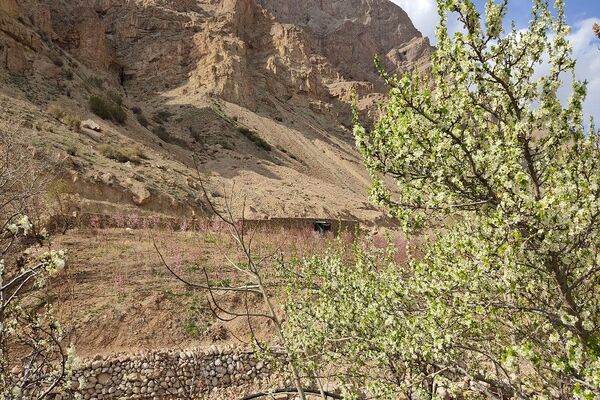 شهر بار نگین سبز خراسان رضوی میزبان فصل بهار 