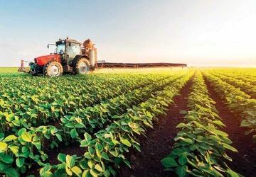 توسعه اقتصاد روستایی به هم‌افزایی بیشتری نیاز دارد