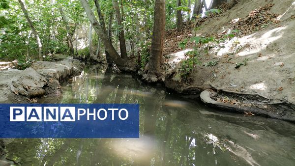 باغ بهادران؛ بهشت کوچکی در اصفهان