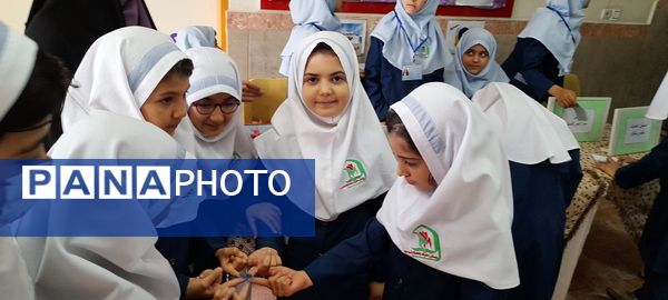  انتخابات شورای دانش‌آموزی دبستان شاهد فاطمه عرب