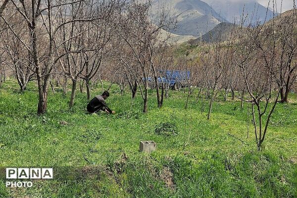 سیزده بدر روز طبیعت ۱۴۰۵در شهر بار نیشابور 