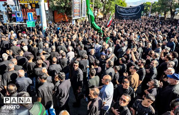 خروش «یا عباس» در پایتخت شور و شعور حسینی