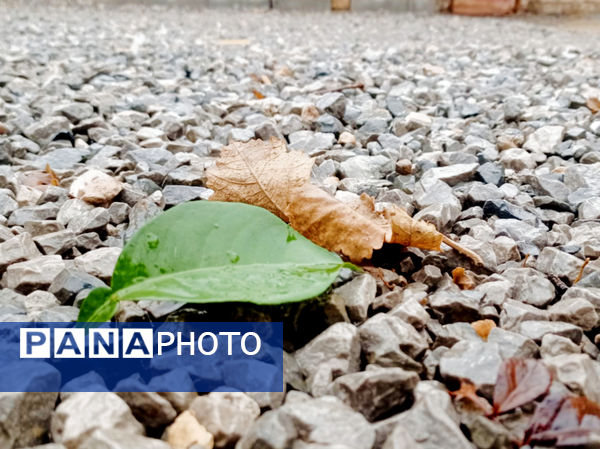 یک روز بارانی در لردگان 