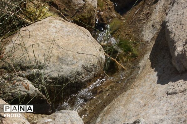 لاسرخ مهریز؛ مقصدی کوهستانی برای طبیعت‌گردان یزد