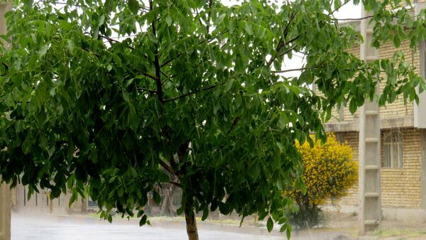 غافلگیری شهر بن از طرف آسمان
