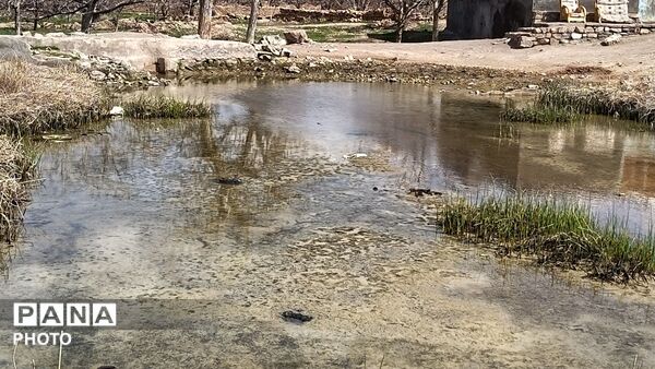 رویش شکوفه های امید در فصل بهار روستای برزنون 