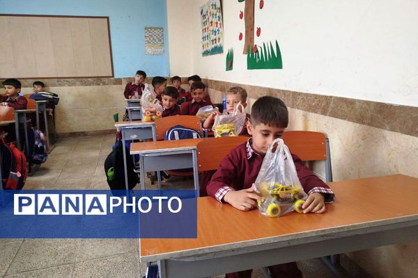 برگزاری جشن شکوفه ها در دبستان امام رضا ۱ شهر قیامدشت