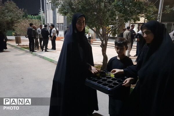 نوجوانان؛ پیشگامان میزبانی از مهمانان مراسم وداع و تشییع پیکر امام امت