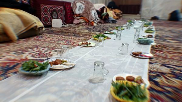 سه روز در حالت پرواز