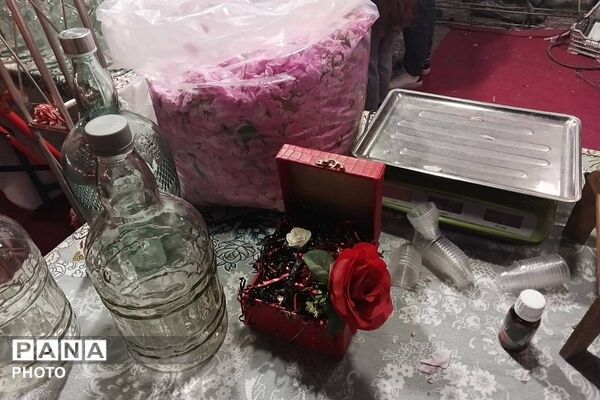 جشنواره گلاب گیری میناب با عطر شهدا 