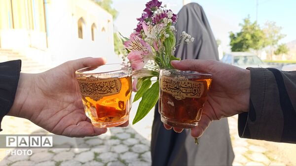  «در پناه دو ماه» در گلزار شهدای فارسان
