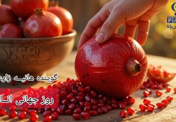 روزملی دانه های یاقوت سرخ