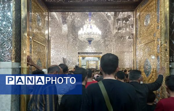 سیل عظیم زائران و مجاوران حرم امام رضا (ع) در روز آغاز امامت حضرت مهدی (عج)