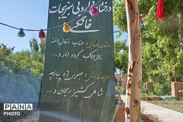 از گل محمدی تا داروهای گیاهی؛ جشنواره‌ای با عطر سلامتی در رباط‌کریم