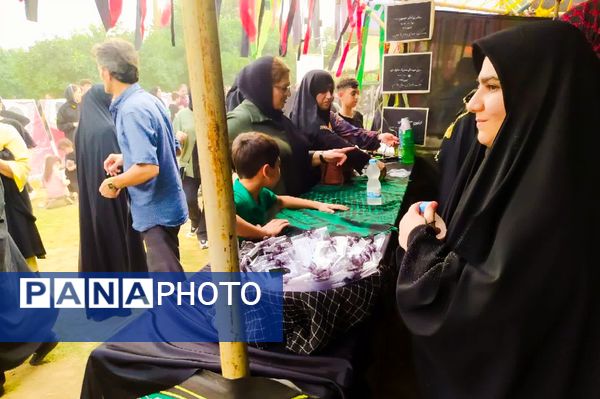 پیاده‌روی جاماندگان اربعین در میاندورود 