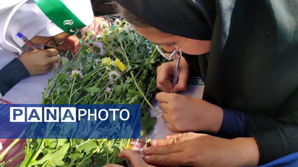 پیکر شهید دفاع مقدس پس از چهل و دو سال به شهر خود بازگشت
