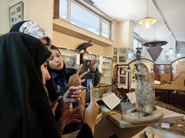 کنجکاوی پانایی ها در کشف اسرار کشاورزی و دامپروری 