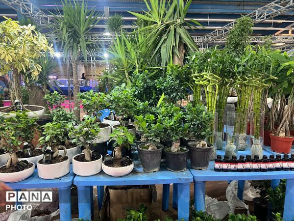 اولین نمایشگاه بهاره گل و گیاه و سوغاتی های محلی در شهرکرد