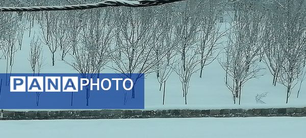 بارش اولین برف در بهمن ماه در شهر بار 