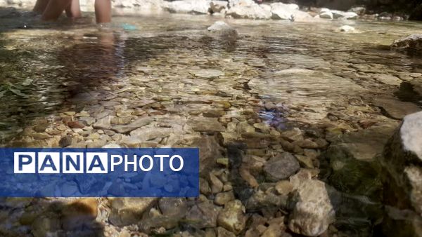 جاذبه‌های طبیعی «شهر کرد» به روایت خبرنگار پانا