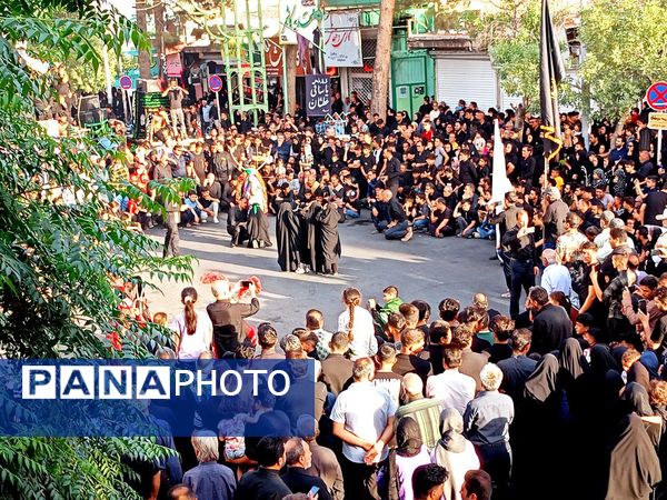 حرکت نمادین کاروان بندی اسد روستای فدافن و آیین نخل گردانی در کاشمر 