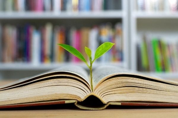  حذف ابزارهای دیجیتال تا ۳۰ درصد بازدهی مطالعه را افزایش می‌دهد