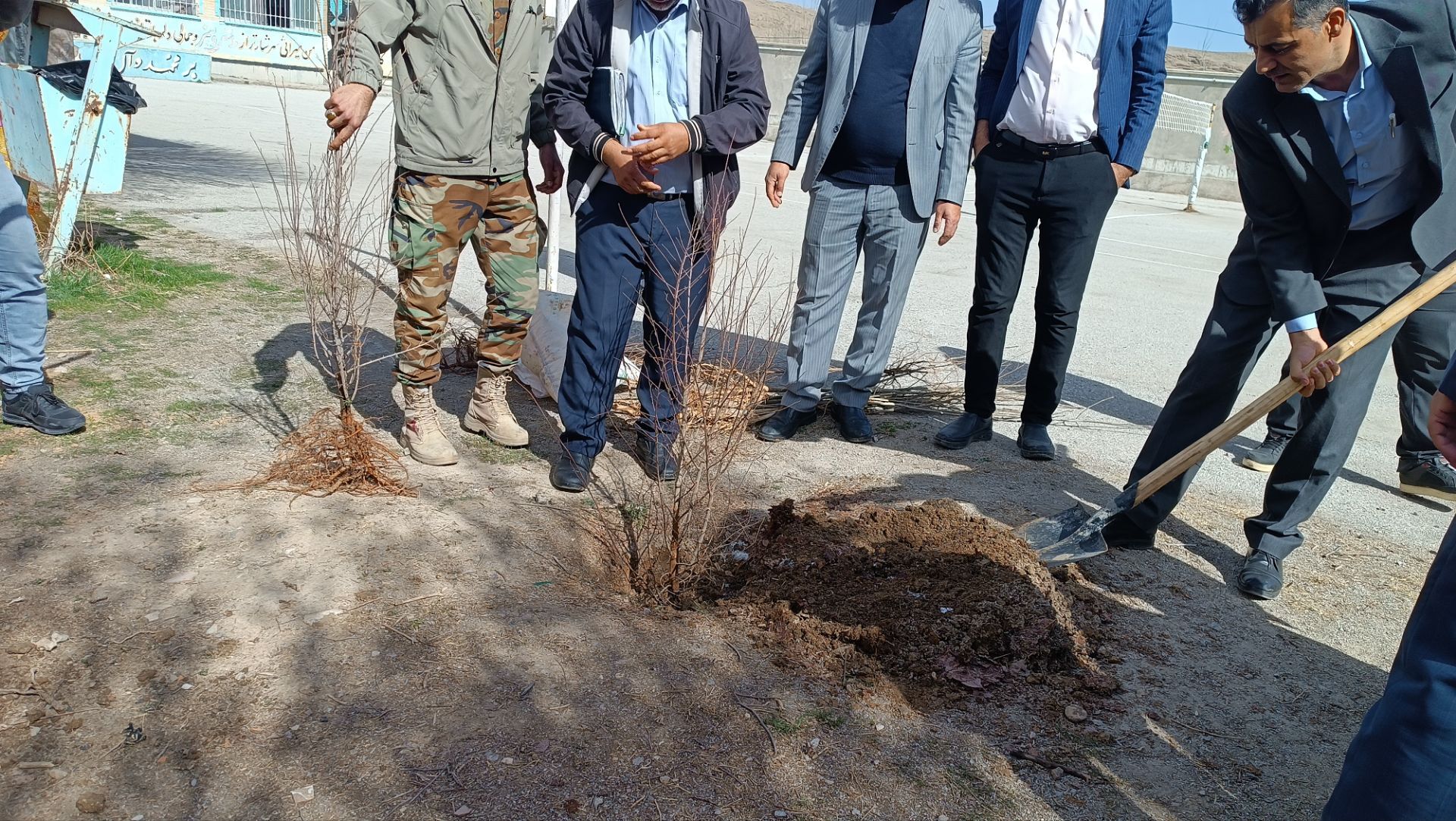 کاشت نهال در مدرسه خدیجه کبری شلمزار