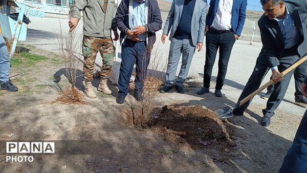 کاشت نهال در مدرسه خدیجه کبری شلمزار
