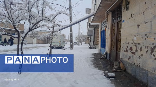 عروس فصل‌ها باری دیگر مهمان شهرستان بن