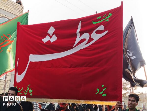 زمزمه‌ های سوگ در کوچه‌های خشتی؛ وقتی نخل چاه‌ ملکی به یاد حسین (ع) برمی‌خیزد