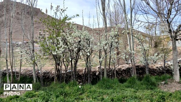  نجوای بهار در روستای سرتشنیز