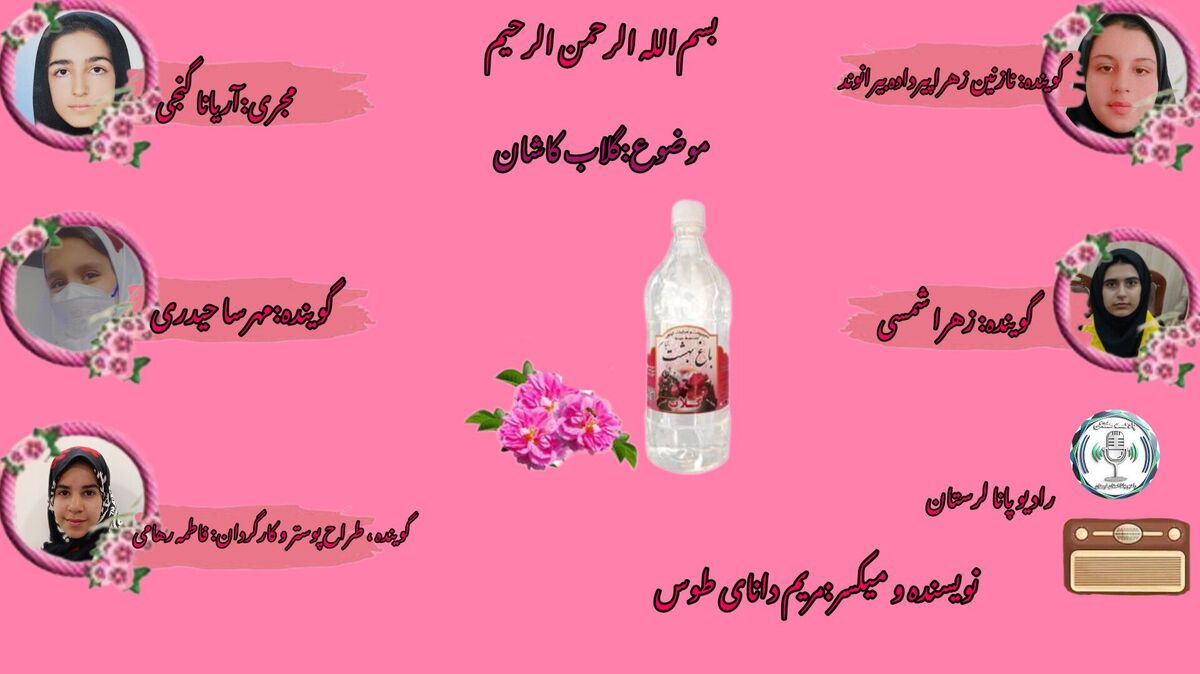 عطر بهار در کویر؛ آغاز فصل سنتی گلاب‌گیری در گلستان‌های کاشان
