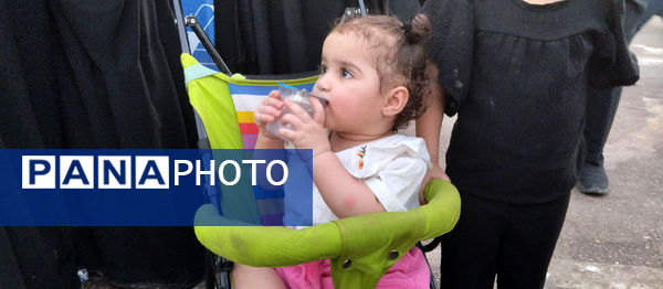 کودکان در پیاده‌روی نجف تا کربلا