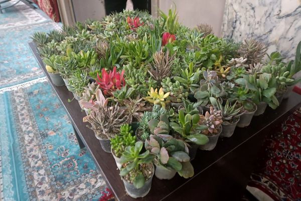 پایان یک آغاز؛ بدرقه نور با کوله باری از معنویت