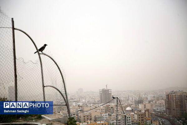 آلودگی هوای تهران