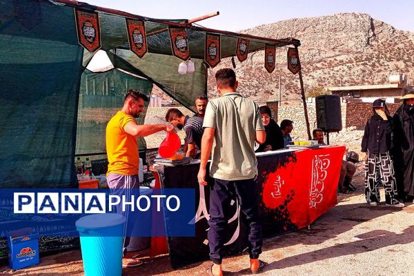 پذیرایی موکب‌ها از جاماندگان اربعین حسینی در شهرستان باشت