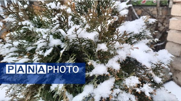 بارش نعمت‌های خداوند در آسمان مشهد